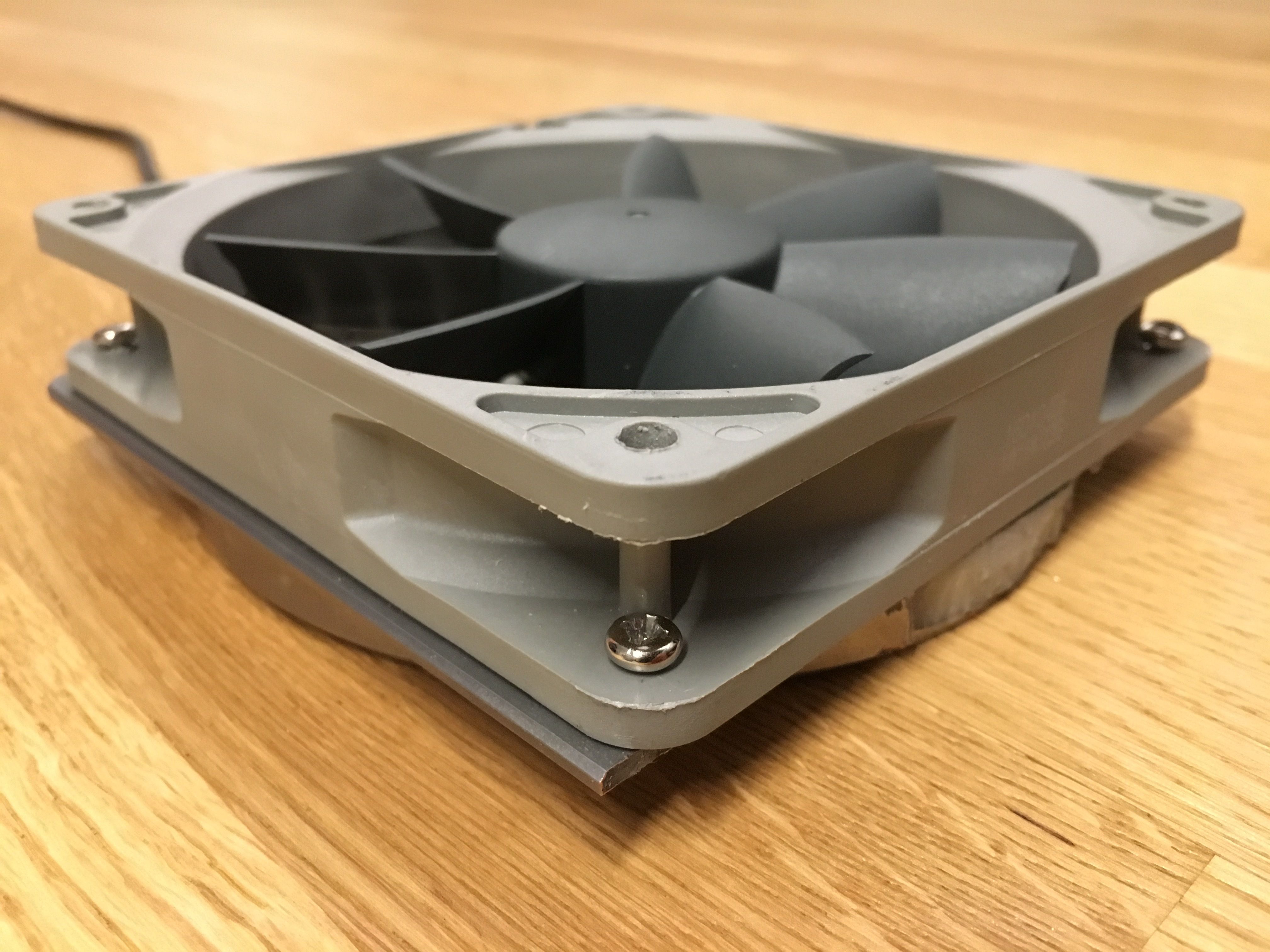 back-fan-back.jpg